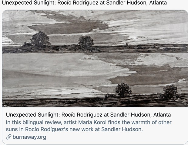 Unexpected Sunlight: Rocio Rodriguez at Sandler Hudson, Atlanta
