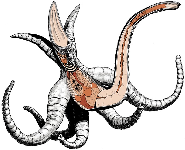 Viras Gamera monster kaiju anatomy
