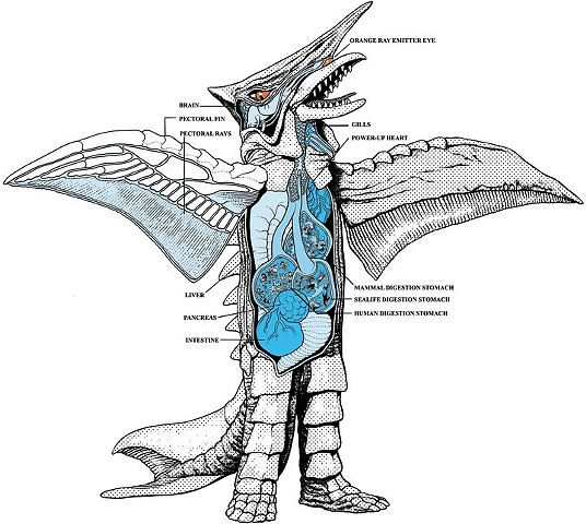 Zigra anatomical diagram Gamera dvd