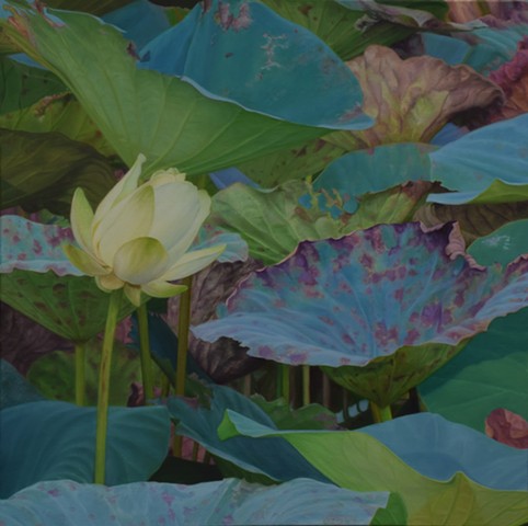 Lotus Flower II