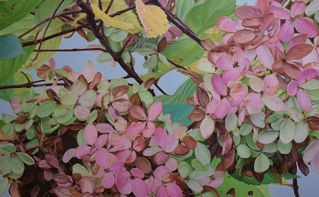 Claudia Tullos-Leonard