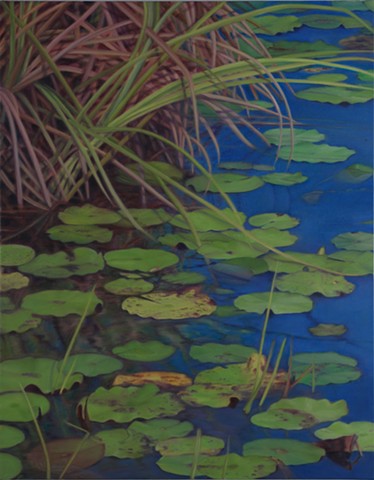 Water Lilies on Western Lake, 2011, Oil on canvas, 28" x 22"