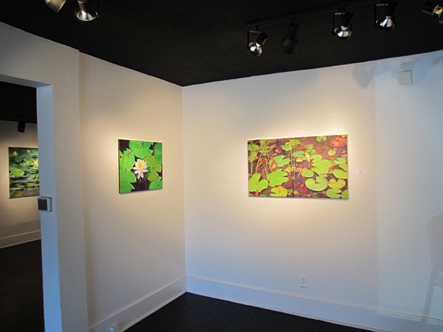 Gallery Fifty Six, 2014