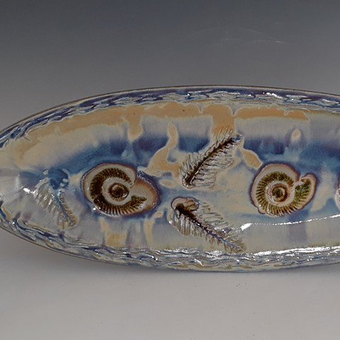 Janet's Fossil and Mushroom Work