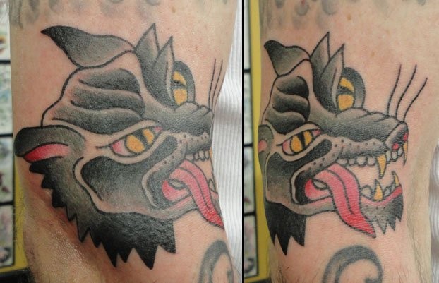 Berk Krak tattoo, traditional wolf tattoo, Tad Peyton tattoo, Jinx Proof Tattoo, Washington D.C. tattoo, Absolute Art Tattoo, Richmond Va tattoo