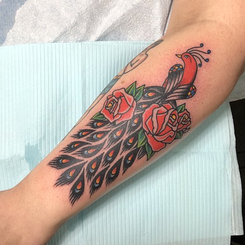 traditional peacock tattoo, Tad Peyton tattoo, Jinx Proof Tattoo, Washington D.C. tattoo, Absolute Art Tattoo, Richmond Va tattoo