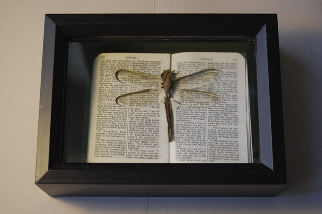 Dragonfly resting in lasercut pocket of New Testament.
