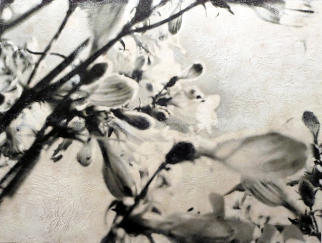For sale! original painting Encaustic and photo collage flowers