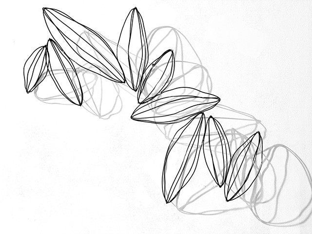 Modern contemporary wire sculpture natural with shadows organic seed pods