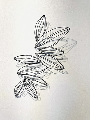 Steel Wire seed pod clusters shadows modern simple lines 