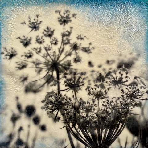 Contemporary photograph and encaustic painting pollinator plants