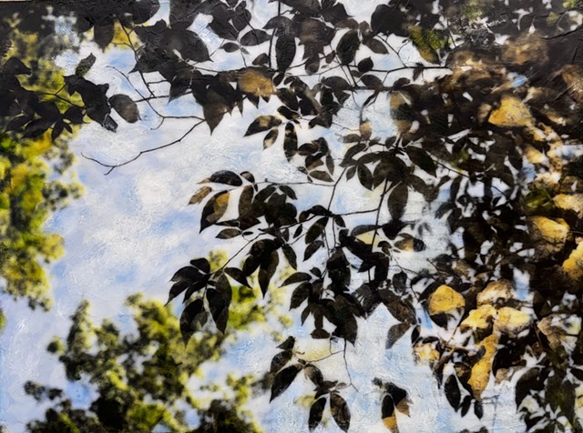nature photography collage combined with encaustic paint and oil double-exposure film trees branches