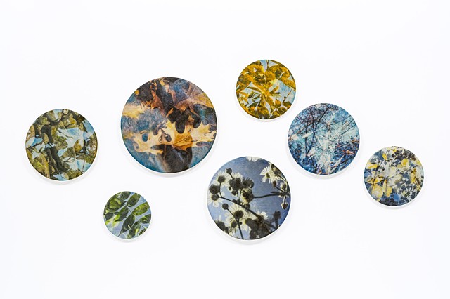 photography and encaustic on acrylic panels mixed-media wall art circles nature