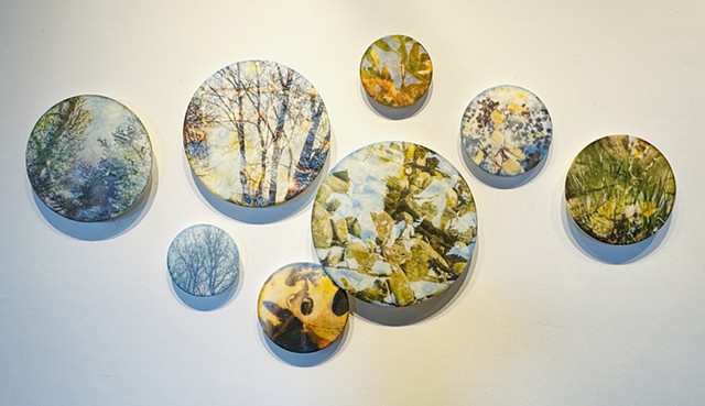 Nature photography trees leaves double-exposure collage encaustic paint and oil paint landscape