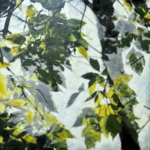 Trees contemporary landscape leaves abstract art photography double-exposure