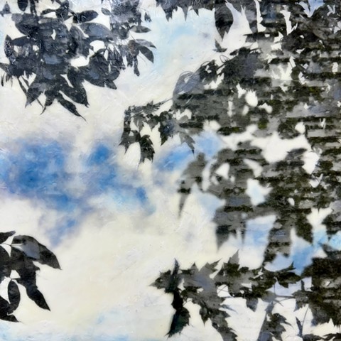 blue sky and clouds with leaves and tree branches encaustic nature photography