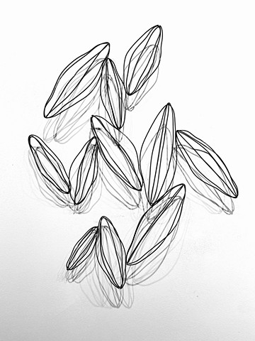 Modern organic minimal wall sculpture dimensional black wire seed pods