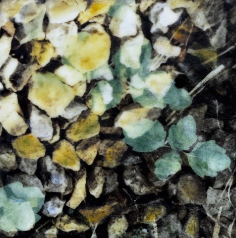 Rocks leaves and bark contemporary nature photography double-exposure image on film
