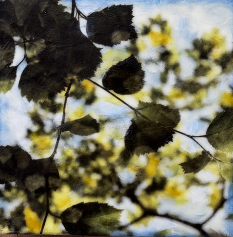 blue sky with leaves trees branches encaustic paint and photo collage double-exposure images on film