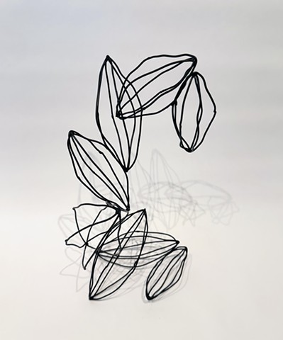 contemporary seed pods wire steel sculpture table-top shadows black wire organic sculpture