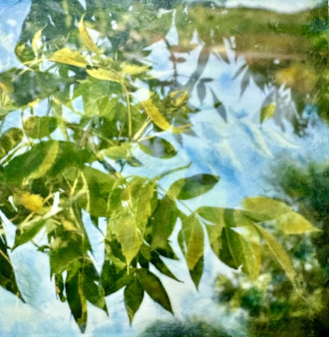 Abstract modern landscape trees and leaves photographs blue sky encaustic painting