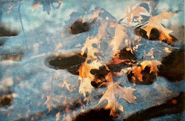 Encaustic paint with double-exposure golden oak leaves at the golden hour nature photography
