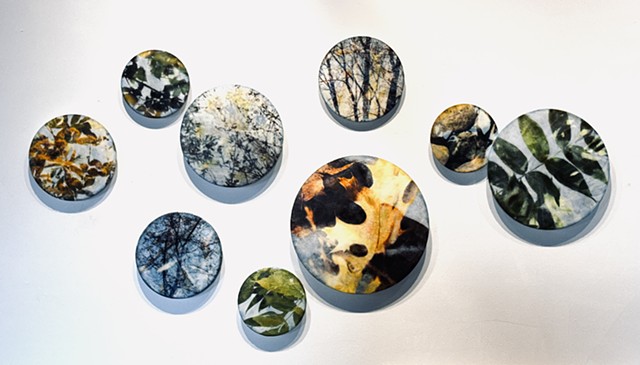 circular mixed-media paintings elevated off the wall nature photography double-exposure with encaustic paint