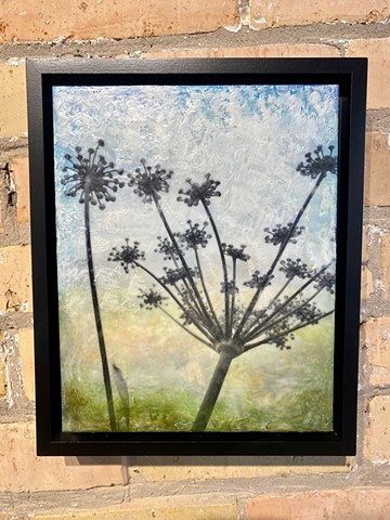Queen Anne's lace flowers encaustic with photo collage modern photography