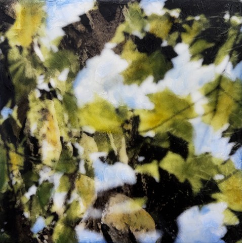 blue sky with leaves trees branches encaustic paint and photo collage double-exposure images on film