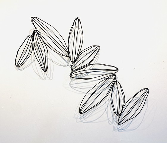 Modern contemporary wire sculpture natural with shadows organic seed pods