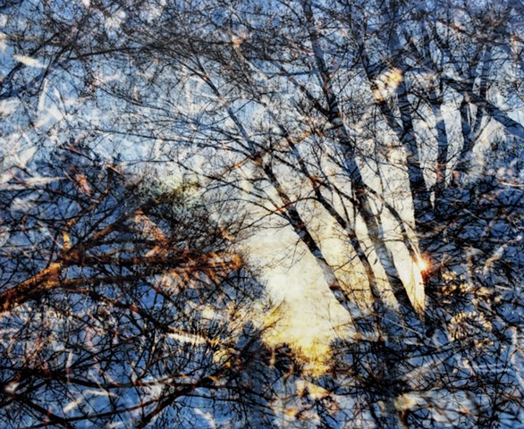 encaustic nature photography oil paint and texture landscapes double-exposure prints on film