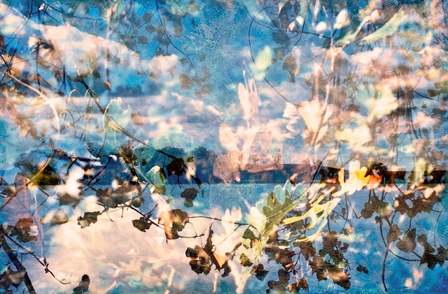 Oak leaves and triple exposure nature photography of a lake and trees and branches contemporary photography