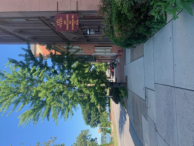  Shifting Expressions: A Retrospective, 2024.  Art Association of Harrisburg, Harrisburg, PA