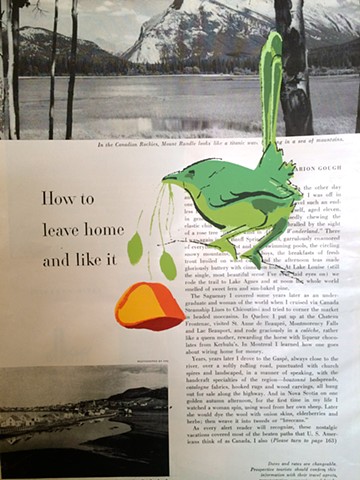 Wren with poppy silkscreened on 1950's magazine