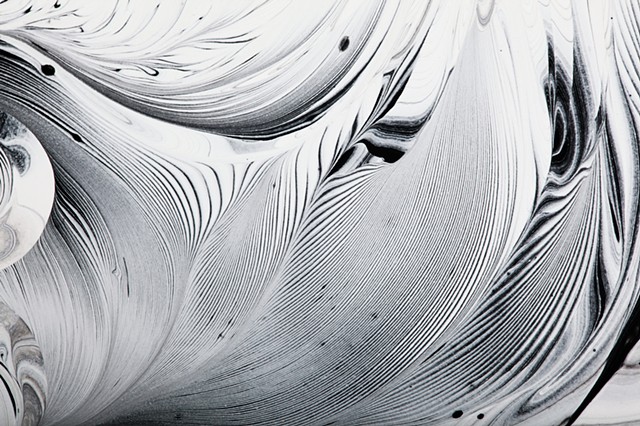 Abstract black and white painting of nature by Harrison Taylor