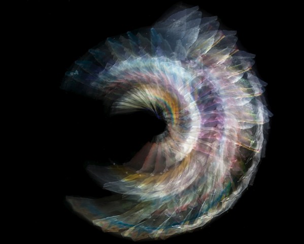 Molluska