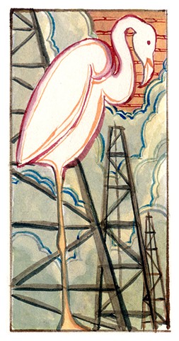 Flamingo dance in Oil Fields