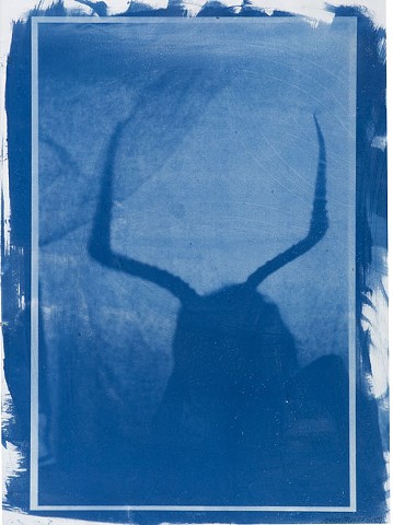 Alice O'Neill Artist Printmaker Cyanotypes 2007