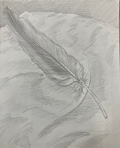 Feather Study