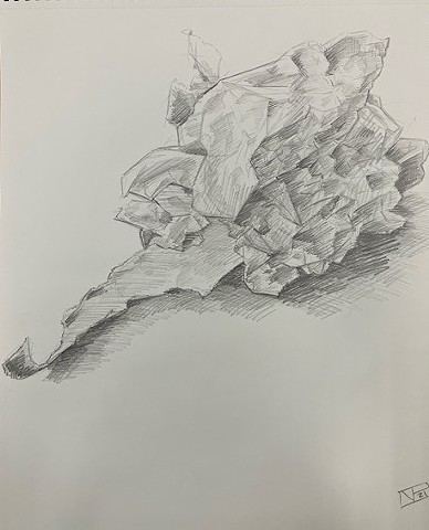 Crumpled Paper Study