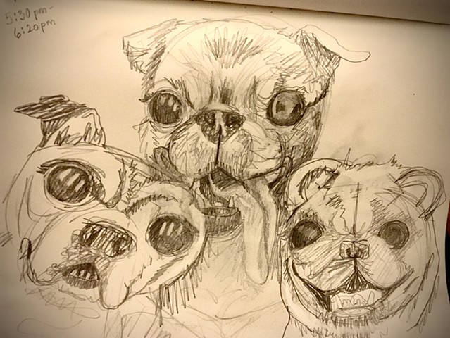 Sketch for Pugs for Rachel