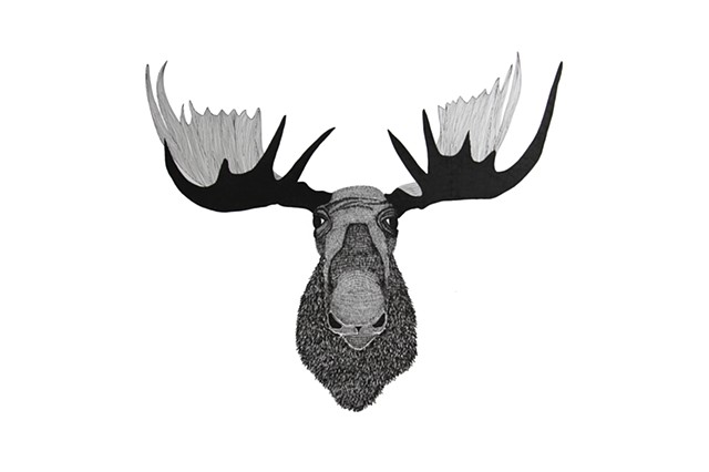 The Hunting Party Series, Moose. Illustration by Dani Green