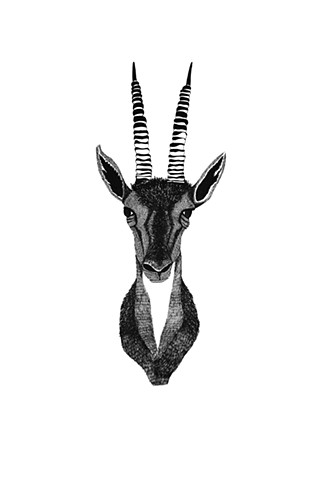 The Hunting Party Series, Gazelle. Illustration by Dani Green