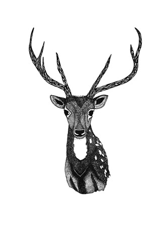 The Hunting Party Series, Deer. Illustration by Dani Green