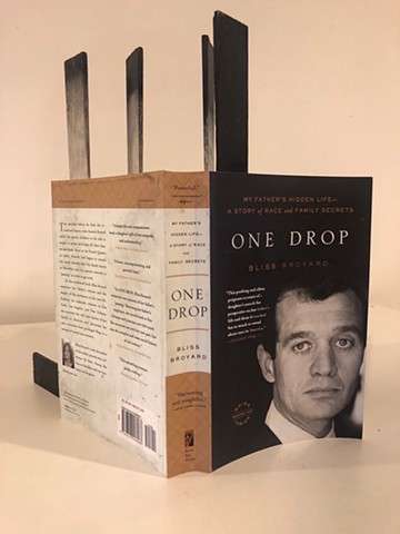 A BOOK BEGETS A BOOK: ONE DROP (View 1), 2019/2022