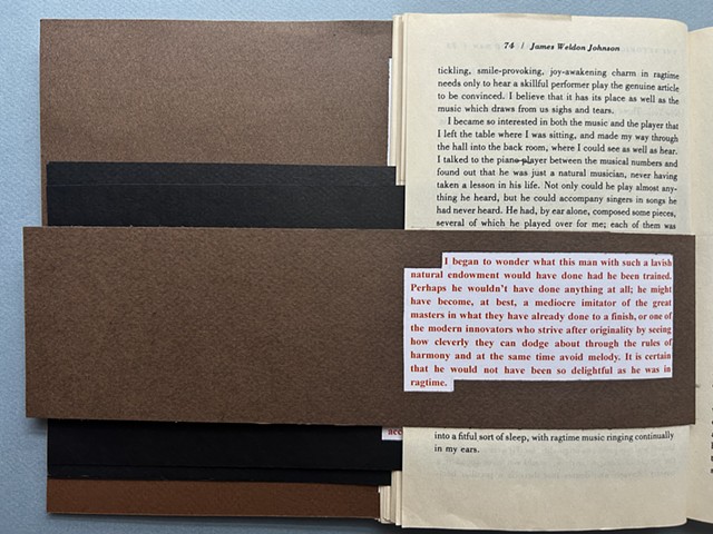 book arts, altered book, altered book arts, the art of paper, African-American literature, The Autobiography of an Ex-Colored Man, racial passing literature, mixed race narratives
