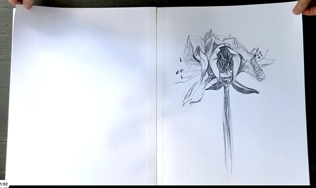 Amaryllis, I-XIV