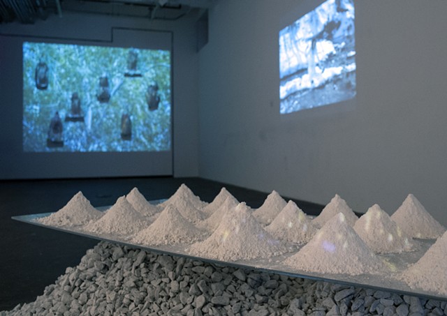 Art and the Ephemeral, Performance Art Landscape, Cultural DC Flashpoint, Shelley Warren, Installation, Moving Images
