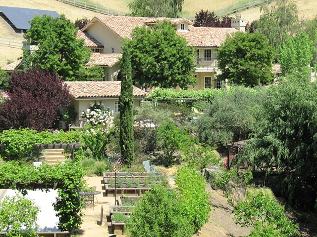 Main house, guest house , vegetable garden , portion of boce court and pool