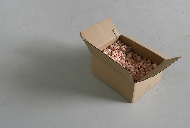 Cardboard Box #1